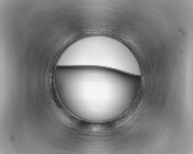 X0000111590264200907161159