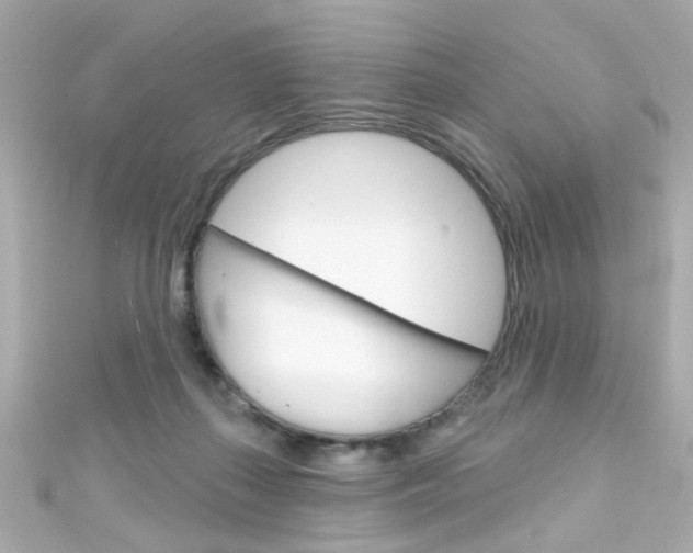 X0000111590267200907161159
