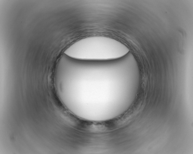 X0000111590270200907161159