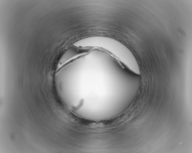 X0000111590271200907161159