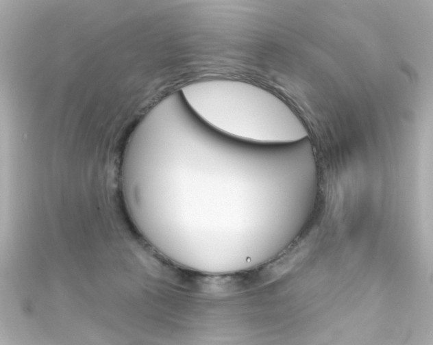 X0000111590273200907161159