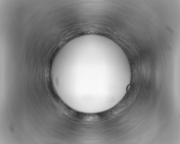 X0000111590274200907161159