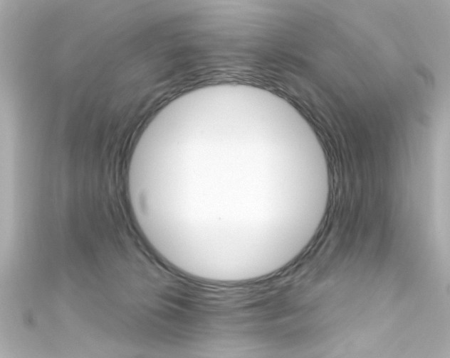 X0000111590276200907161159