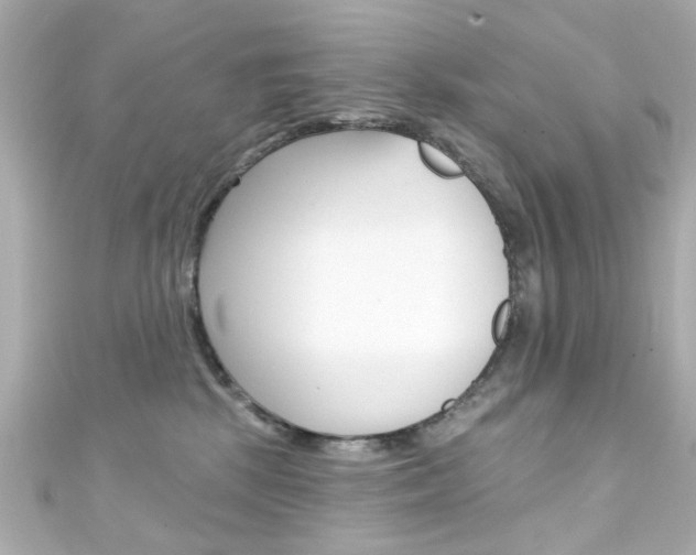 X0000111590281200907161159