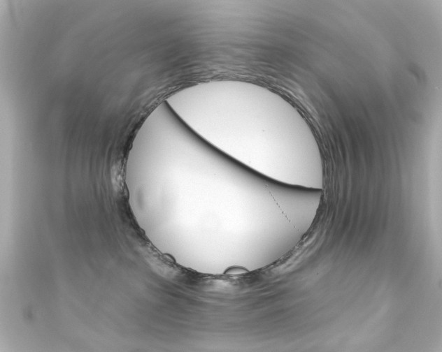 X0000111590285200907161159