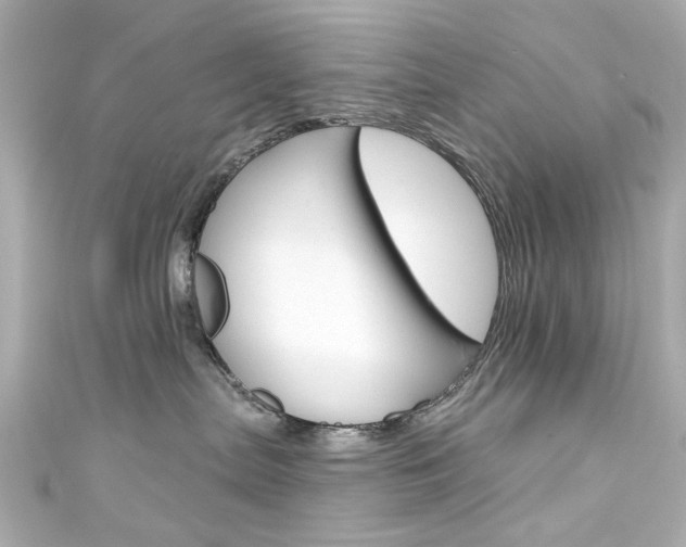 X0000111590287200907161159