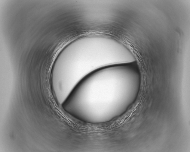 X0000111590289200907161159