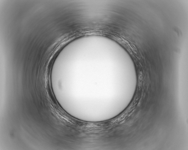 X0000111590290200907161159