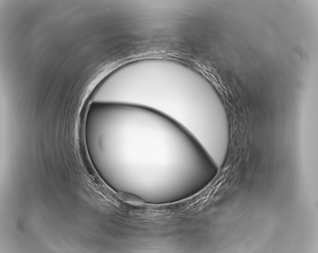 X0000111590292200907161159