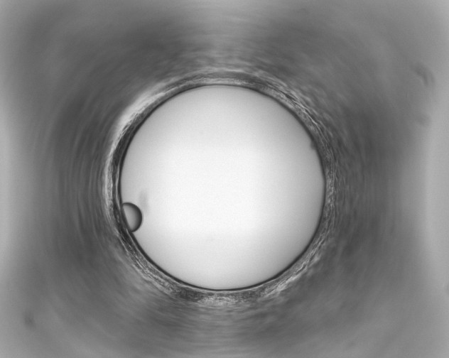 X0000111590294200907161159