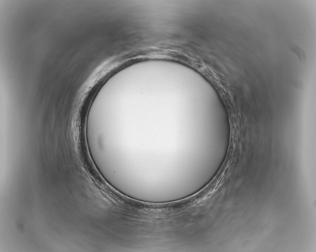 X0000111590295200907161159