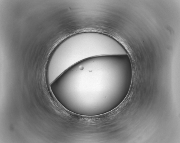 X0000111590297200907161159