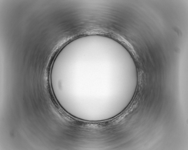 X0000111590298200907161159