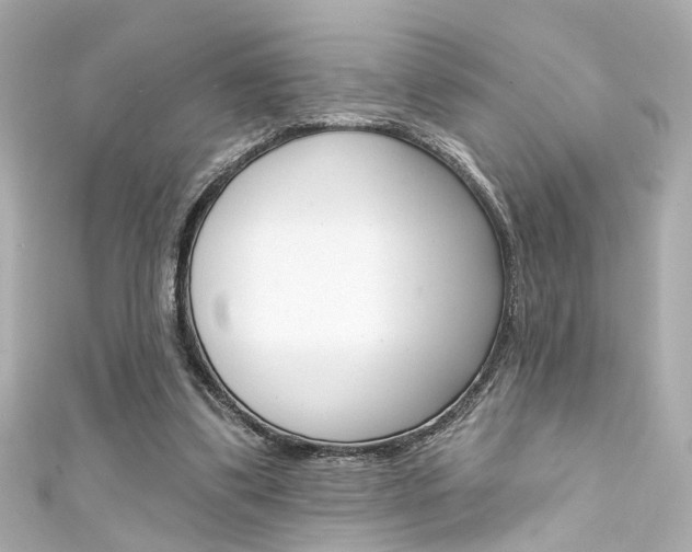X0000111590299200907161159
