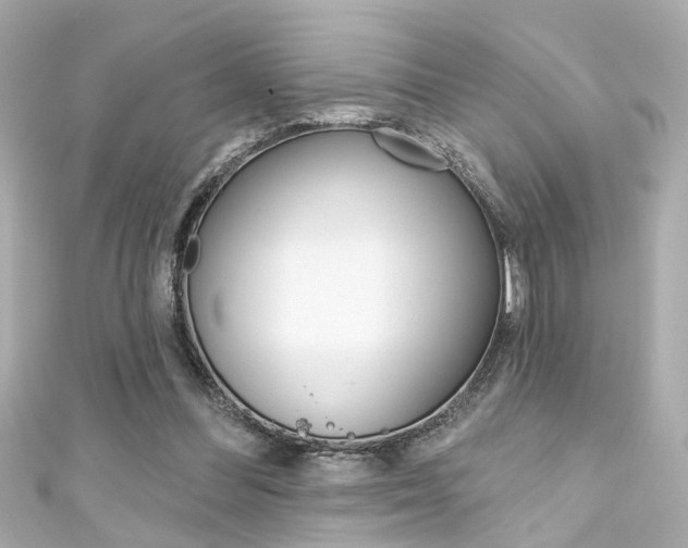 X0000111590300200907161159