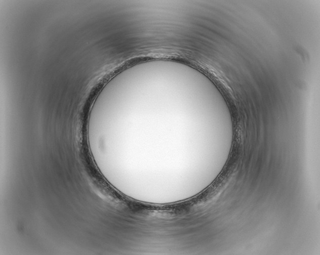 X0000111590303200907161159
