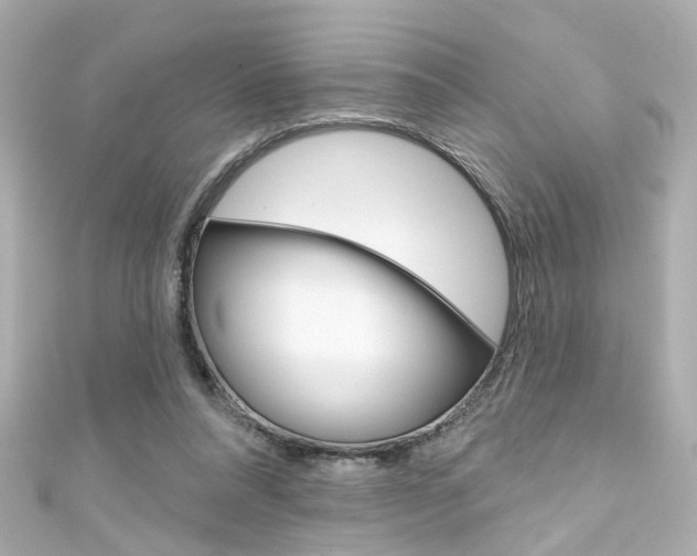 X0000111590304200907161159