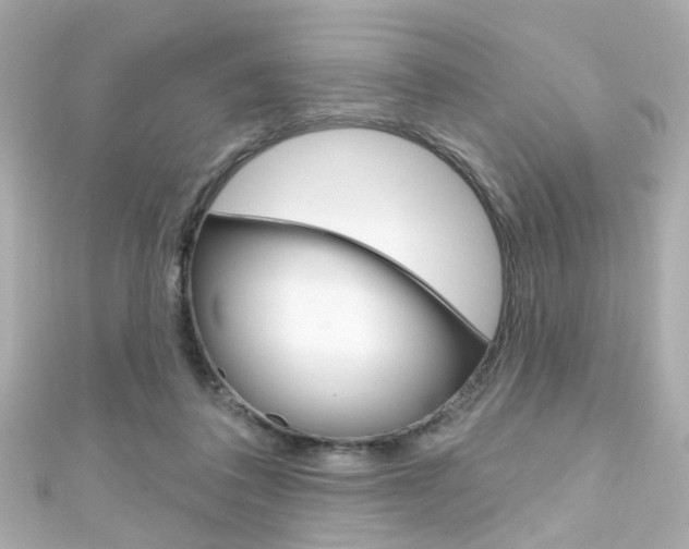 X0000111590308200907161158