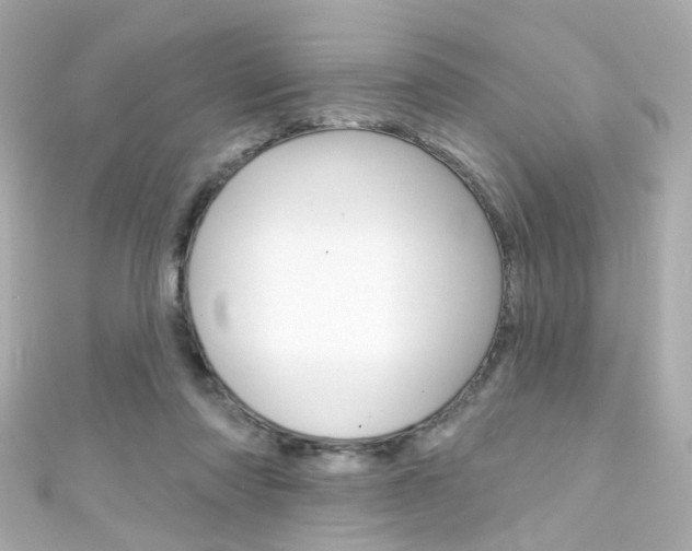 X0000111590310200907161158