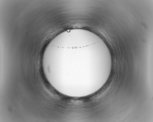 X0000111590311200907161158