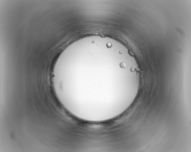 X0000111590313200907161158