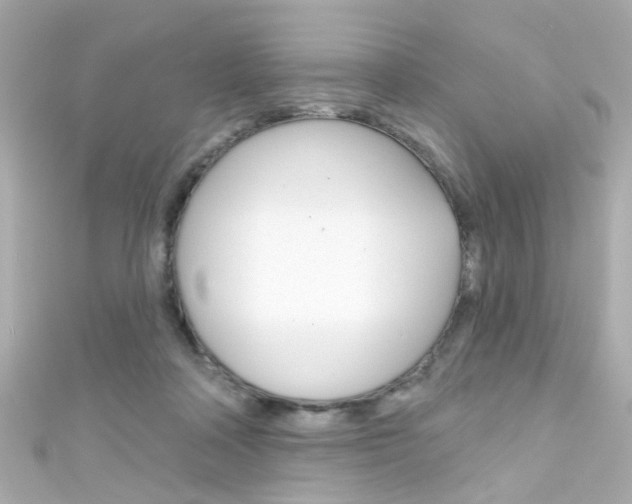 X0000111590314200907161158