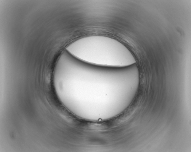 X0000111590315200907161158
