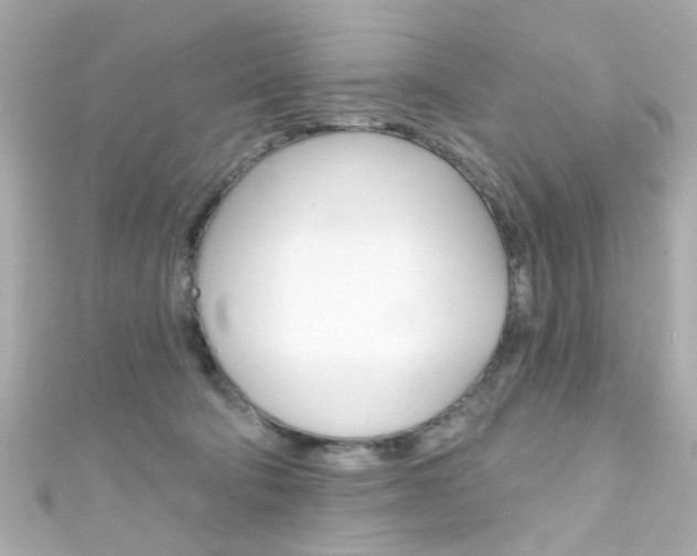 X0000111590322200907161158