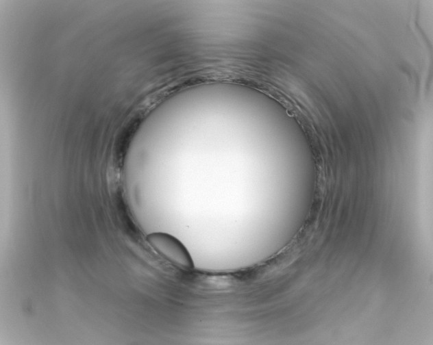 X0000111590324200907161158