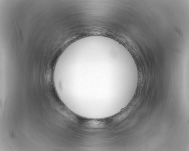 X0000111590326200907161158
