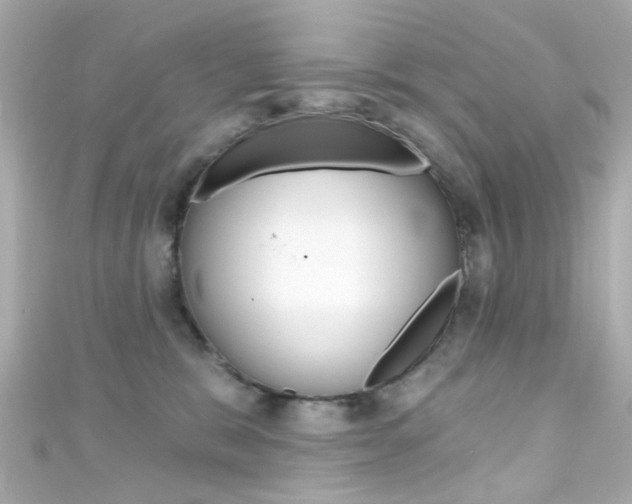 X0000111590327200907161158