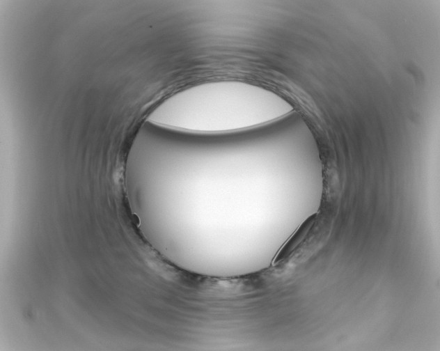 X0000111590329200907161158