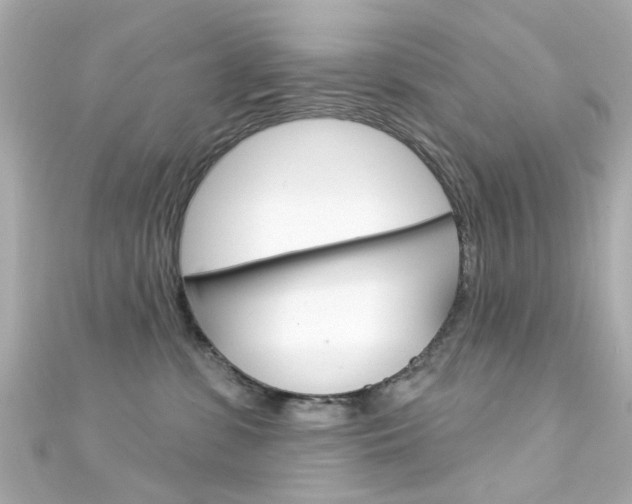 X0000111590331200907161158