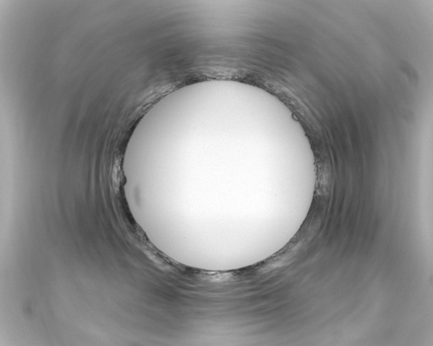 X0000111590334200907161158