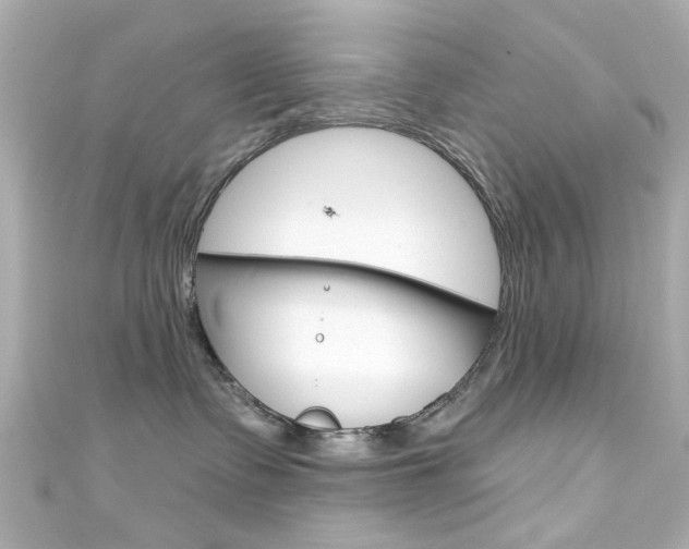 X0000111590335200907161158