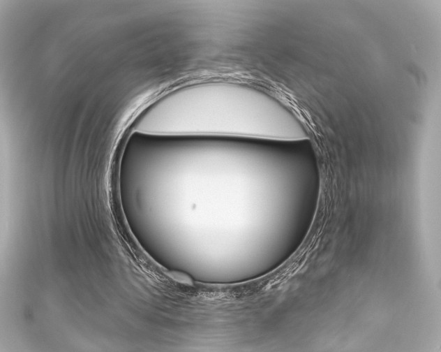 X0000111590340200907161158