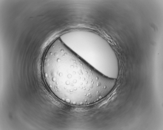X0000111590341200907161158