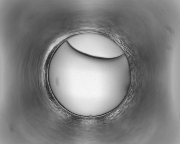 X0000111590342200907161158