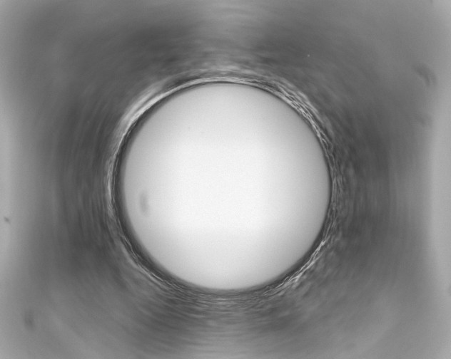 X0000111590344200907161158