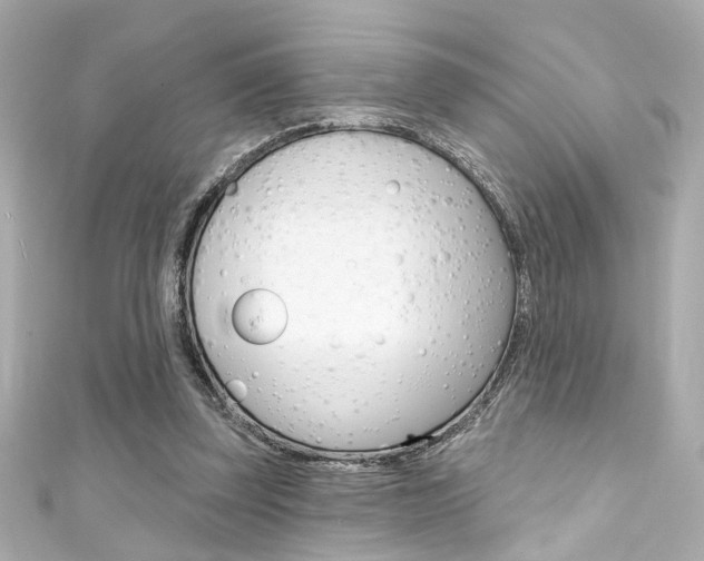 X0000111590347200907161158