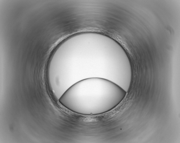 X0000111590348200907161158