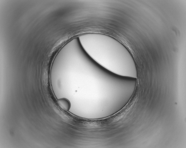 X0000111590349200907161158