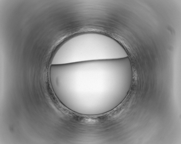 X0000111590352200907161158