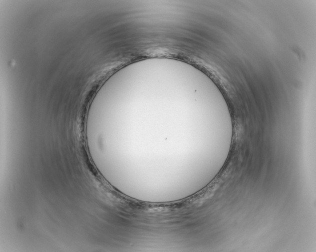 X0000111590353200907161158