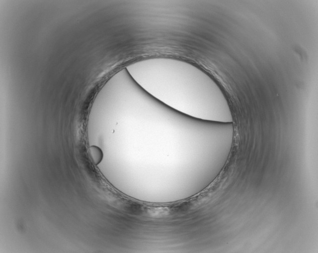 X0000111590355200907161158