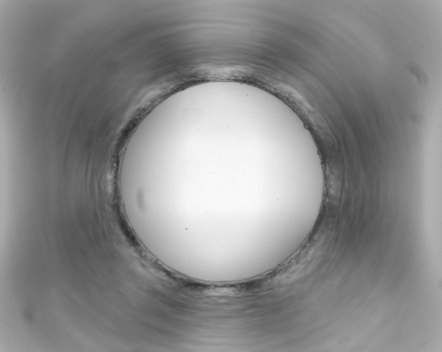 X0000111590357200907161158