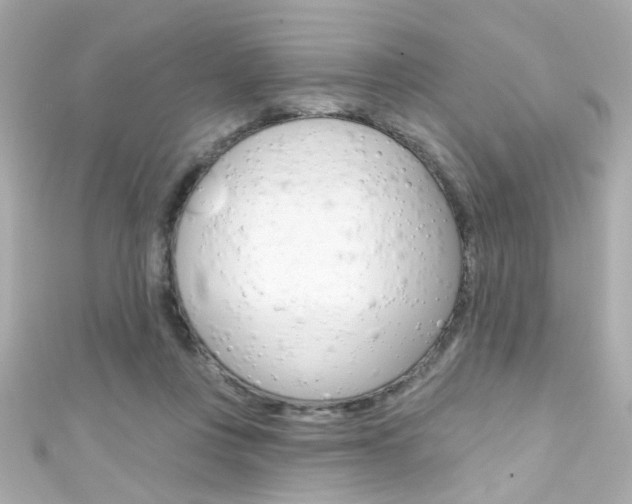 X0000111590359200907161158