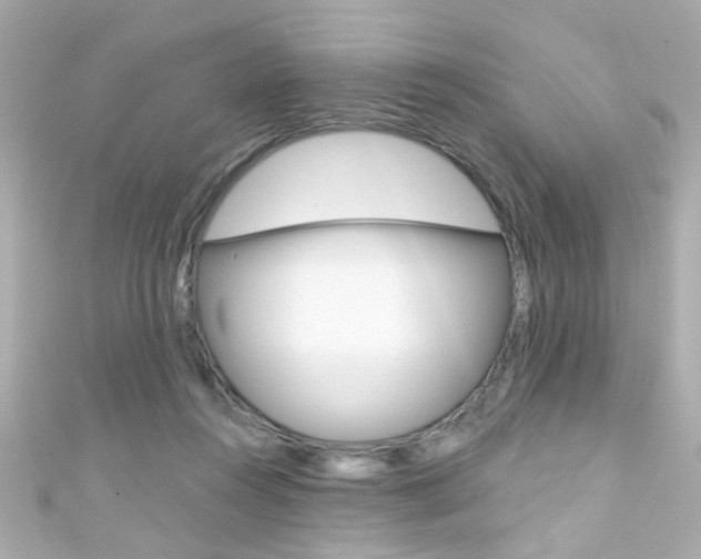 X0000111590360200907161158