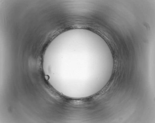 X0000111590361200907161158