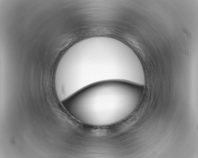 X0000111590362200907161158